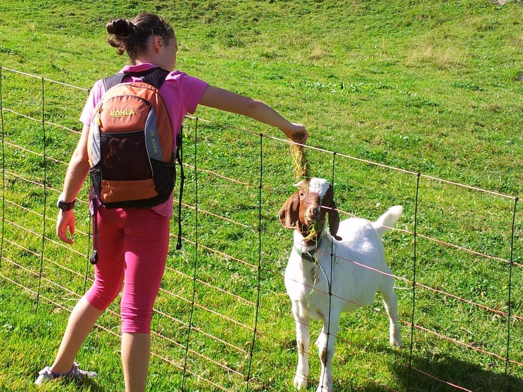 Apart Alpenpension Maderer Gaschurn Exteriör bild
