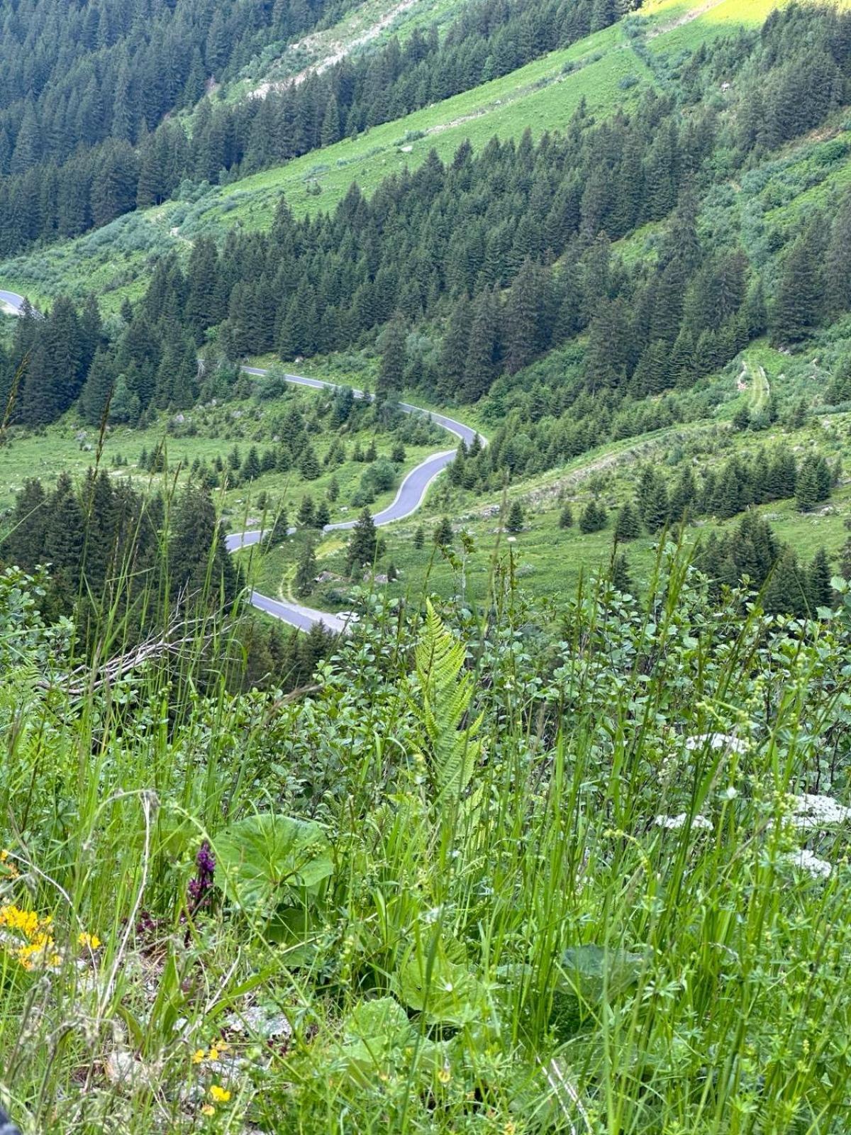 Apart Alpenpension Maderer Gaschurn Exteriör bild
